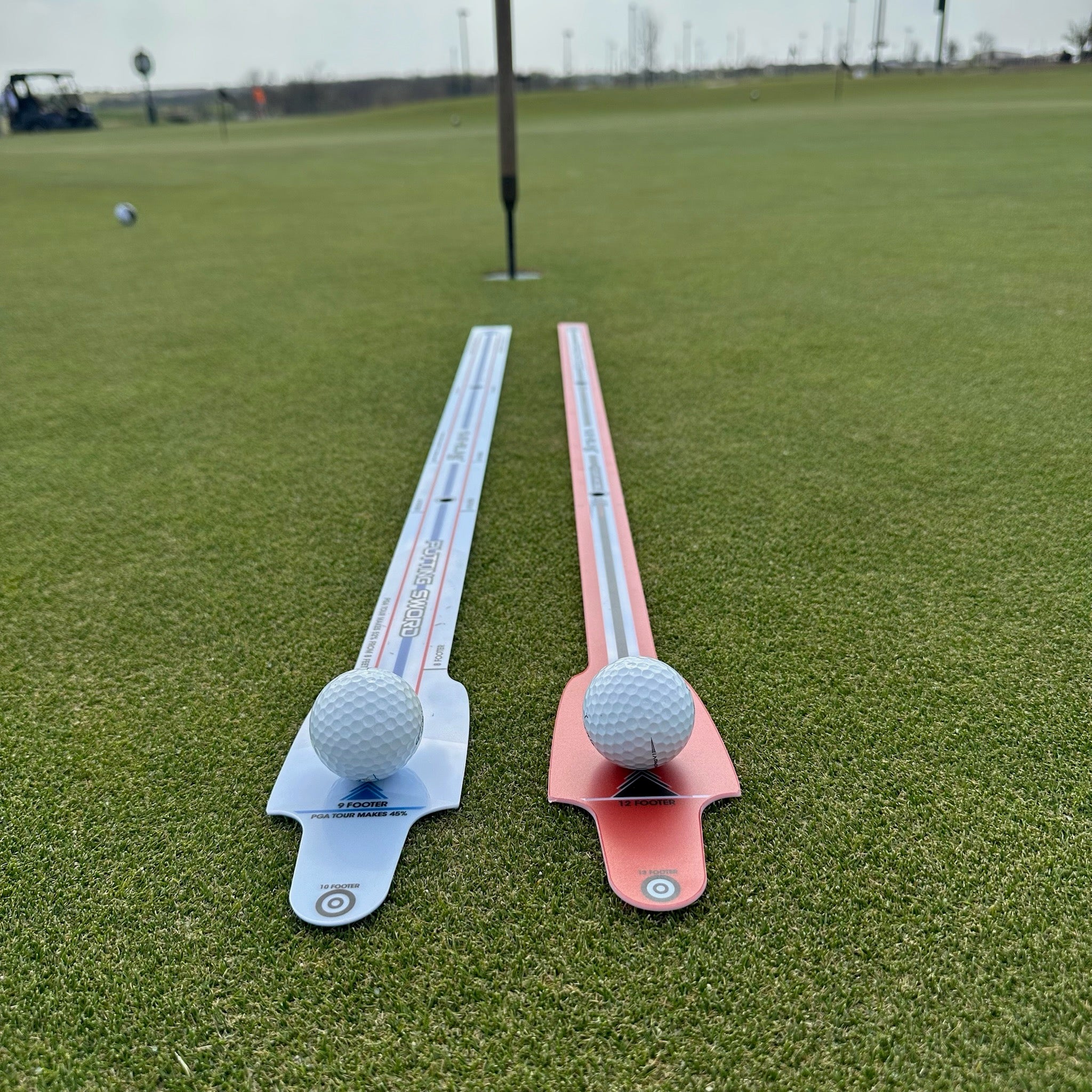 Putting Sword by Michael Breed